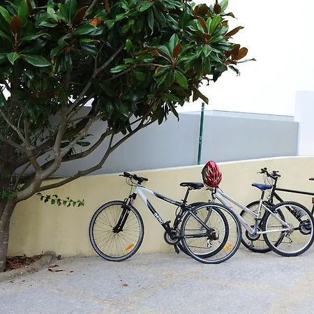 Daire Casa Da Ribeira Aveiro