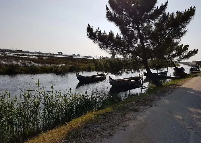 Casa Da Ribeira אבאירו